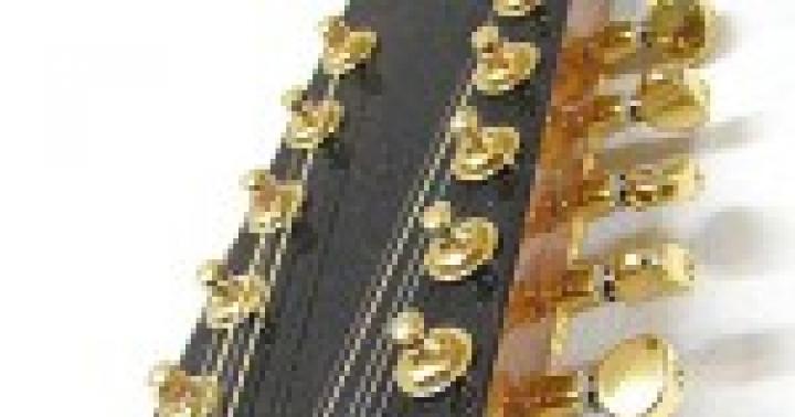 Chitarra a dodici corde